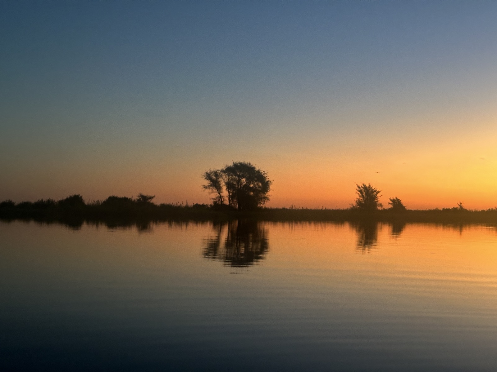 A lone tree mirrored in the still water of Lake Kariba at sunset